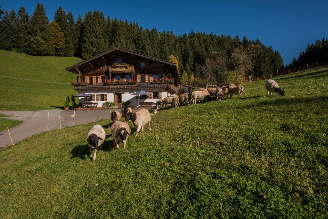 Bauernhof Muehltalhof Apartamento Ellmau Exterior foto